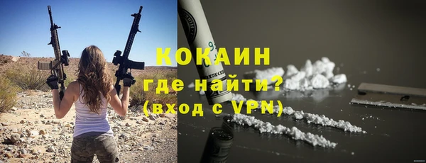 амф Кострома