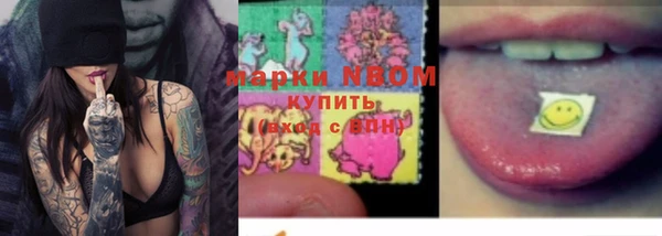 амф Кострома