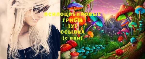 ALPHA PVP Мурманск