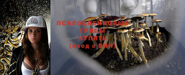 амф Кострома