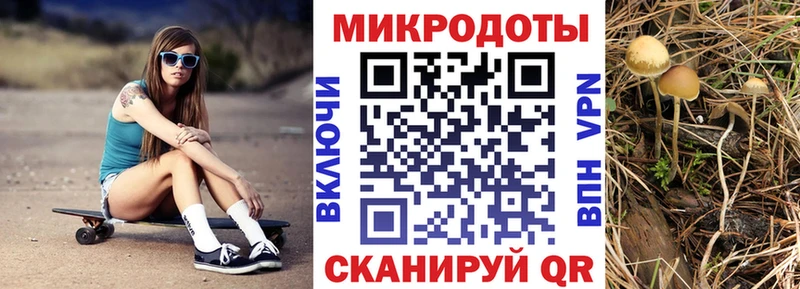 Псилоцибиновые грибы Cubensis  ссылка на мегу сайт  Зарайск 