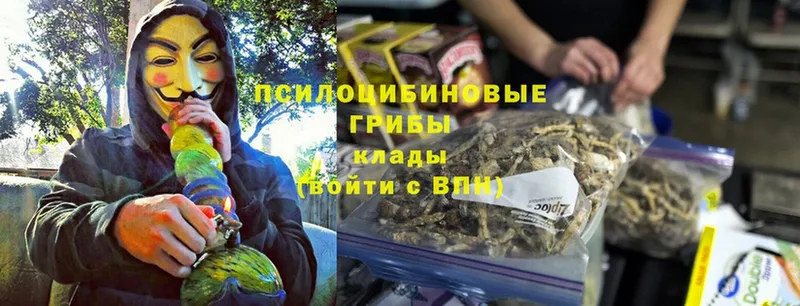 Псилоцибиновые грибы MAGIC MUSHROOMS  Зарайск 